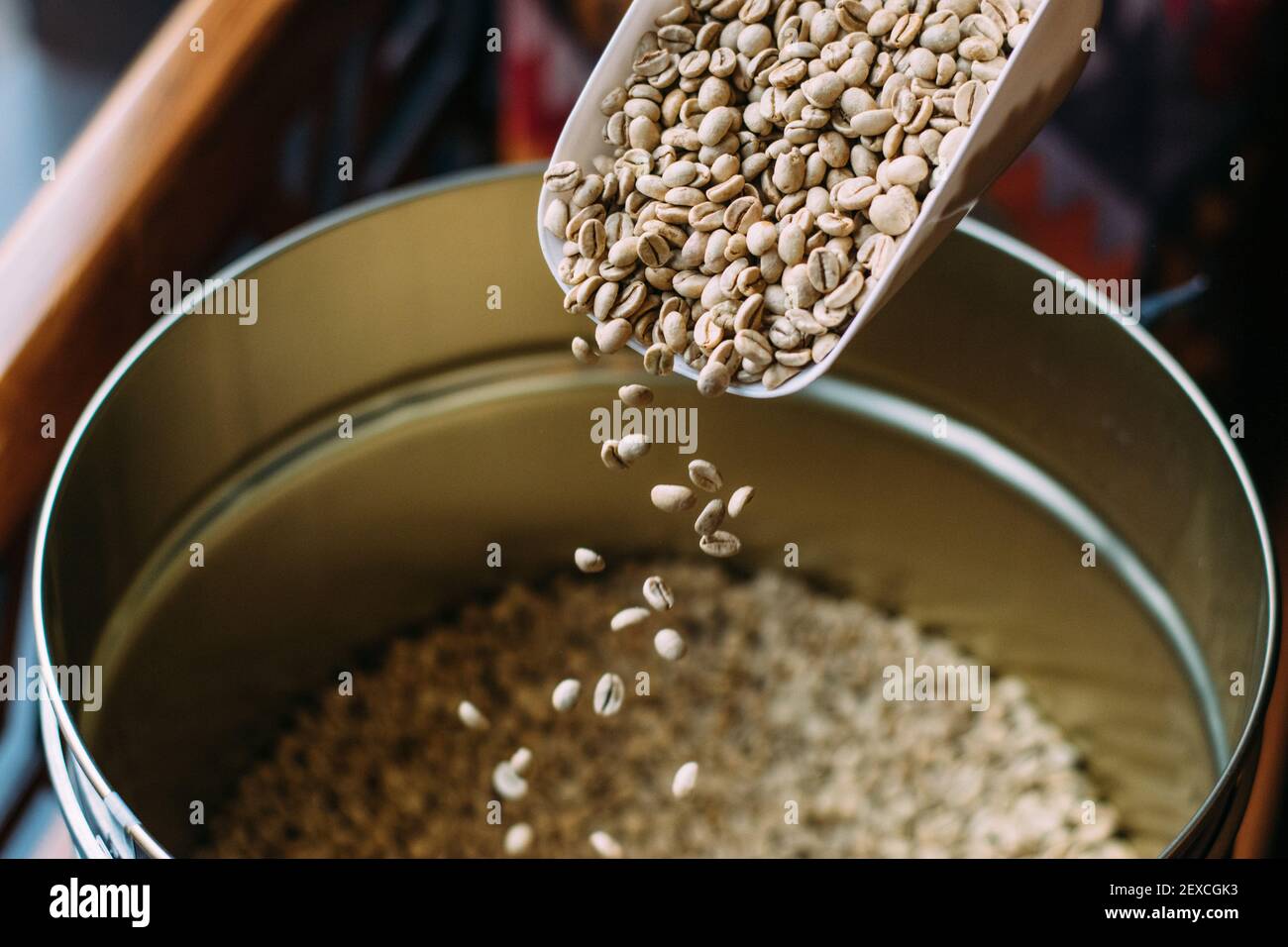 Chicchi di caffè crudo, versando in un barile di metallo Foto Stock