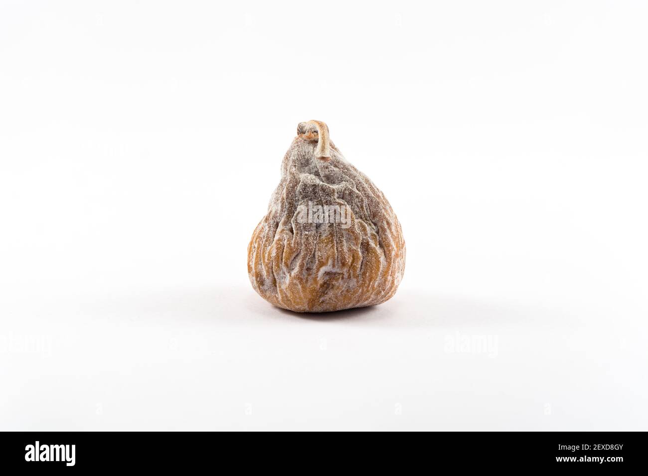 Un pezzo di fico essiccato su fondo bianco Foto Stock