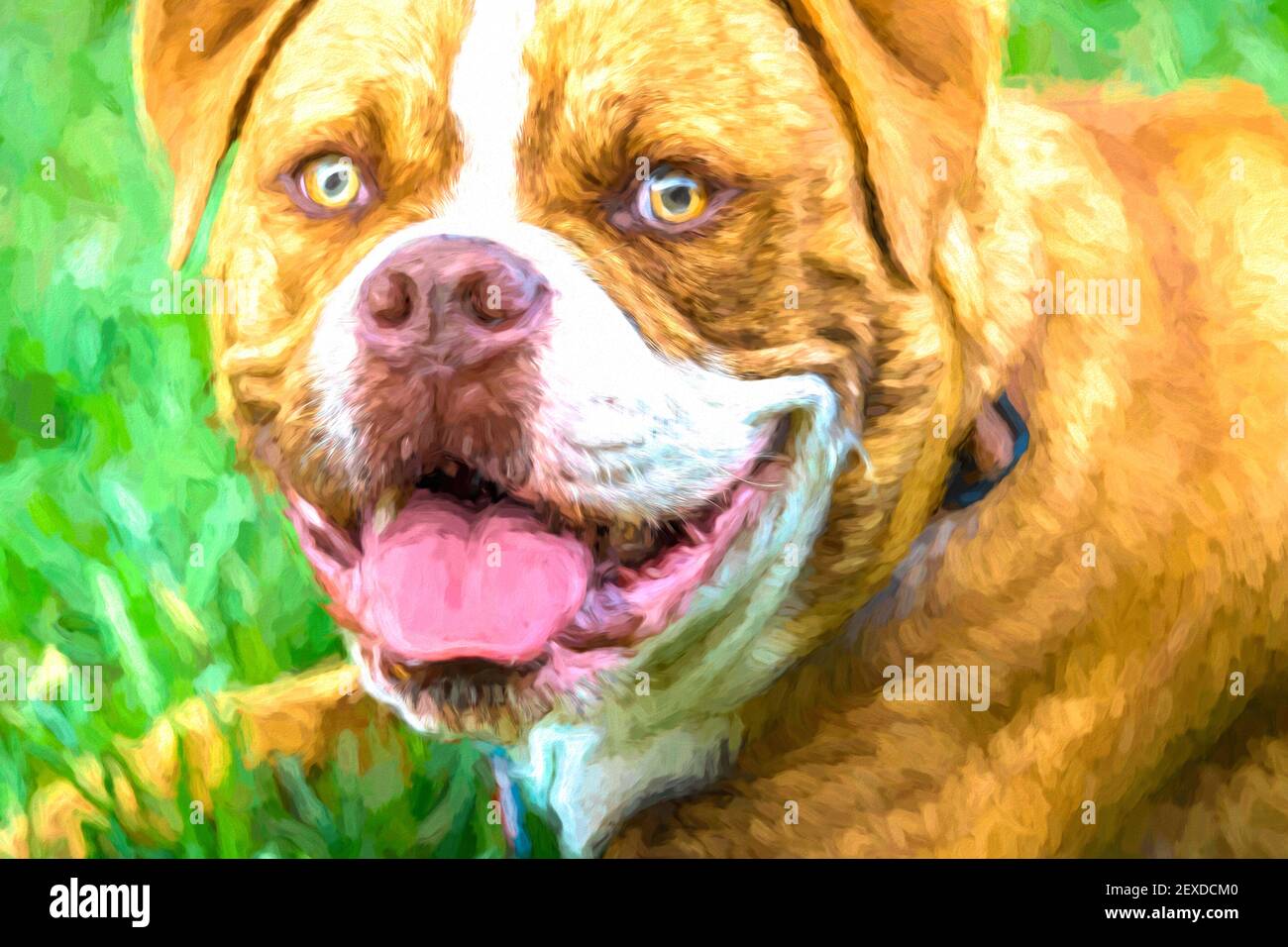 Carino cane, dogue de bordeaux Foto Stock