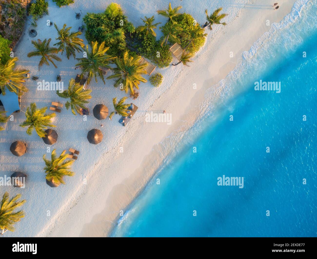 Vista aerea di ombrelloni, palme sulla spiaggia di sabbia Foto Stock
