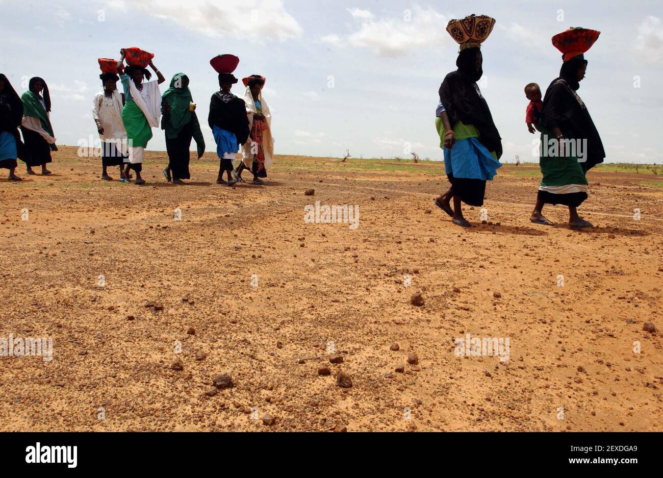 LE DONNE DI TOUARUG CAMMINANO ATTRAVERSO TERRA STERILE CHE DOVREBBE ESSERE VERDE E FERTILE, LA Y STA PORTANDO DONI AL BATTESIMO DI AHMED BATOUIE NEL VILLAGGIO DI AGRUM, NIGER.8/8/05 TOM PILSTON Foto Stock