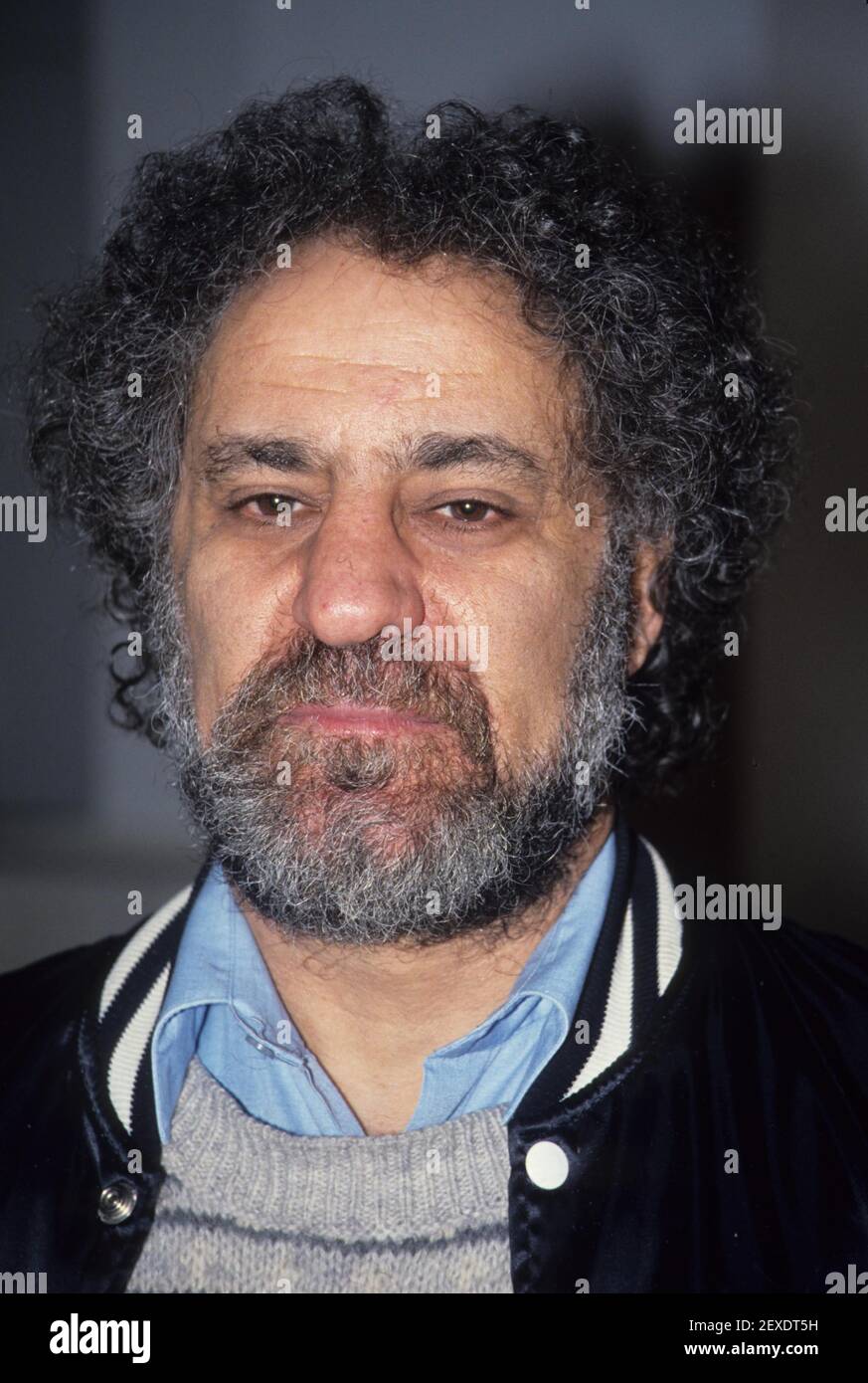 Abbie Hoffman 1980 Foto di Adam Scull-PHOTOlink.net / MediaPunch Foto Stock