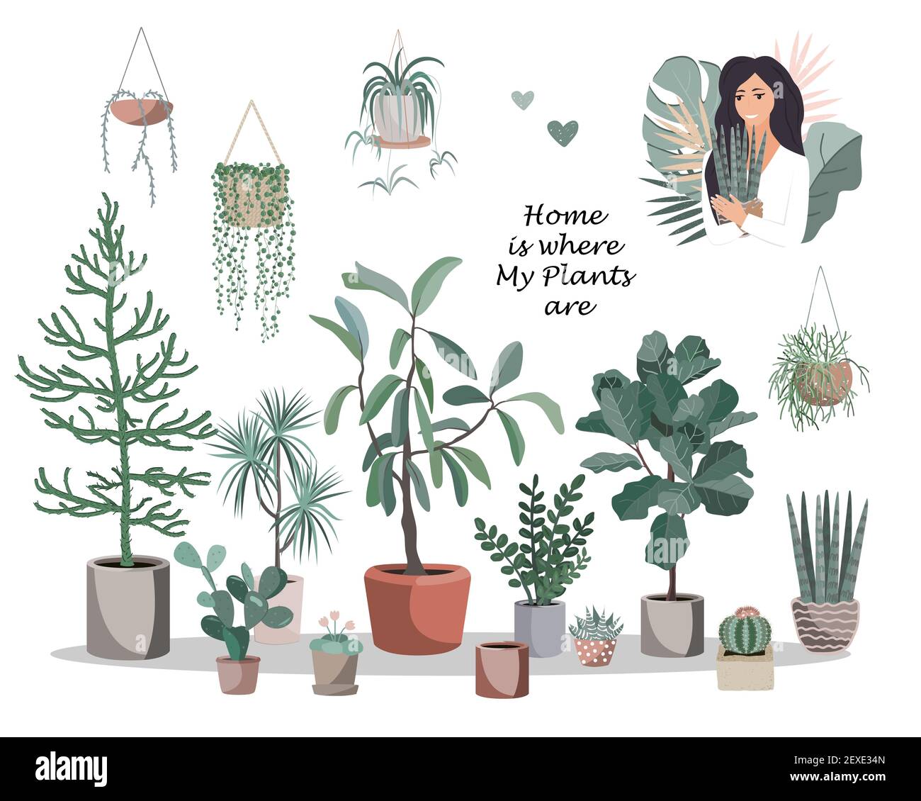 La casa è dove le mie piante sono poster. Carino casa piante pentole e cestini, cactus e succulenti, e bella ragazza con vaso fiore. Vettore di stile piatto Illustrazione Vettoriale