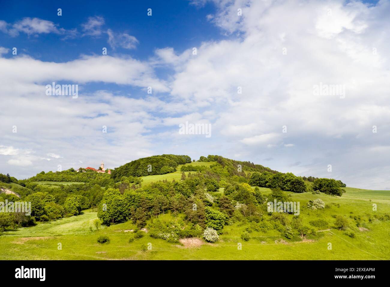 Paesaggio estivo vicino Castello Leuchtenburg Foto Stock