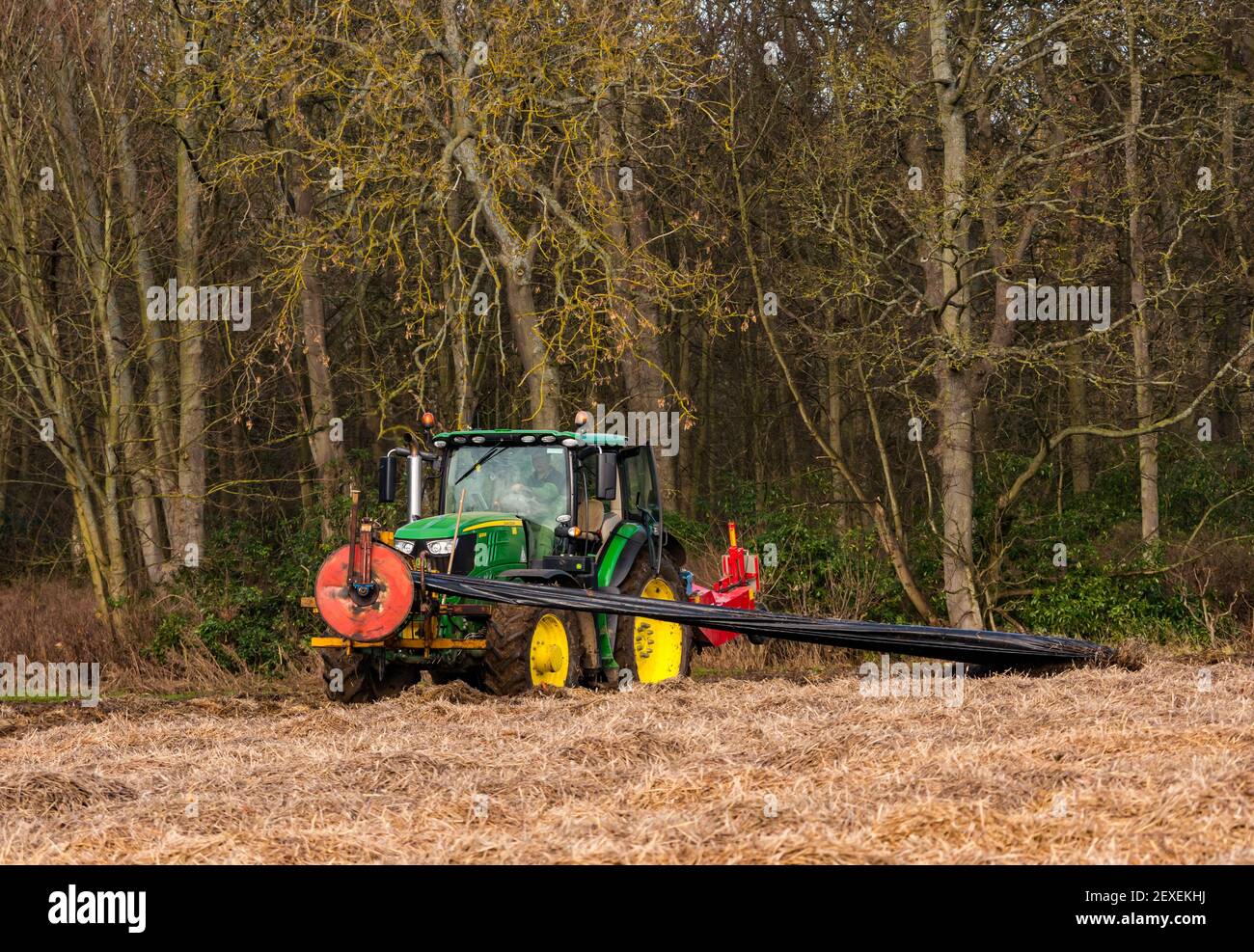 Telone in plastica per avvolgimento del trattore dal coperchio del raccolto durante la raccolta delle carote, Luffness Mains Farm, East Lothian, Scozia, Regno Unito Foto Stock