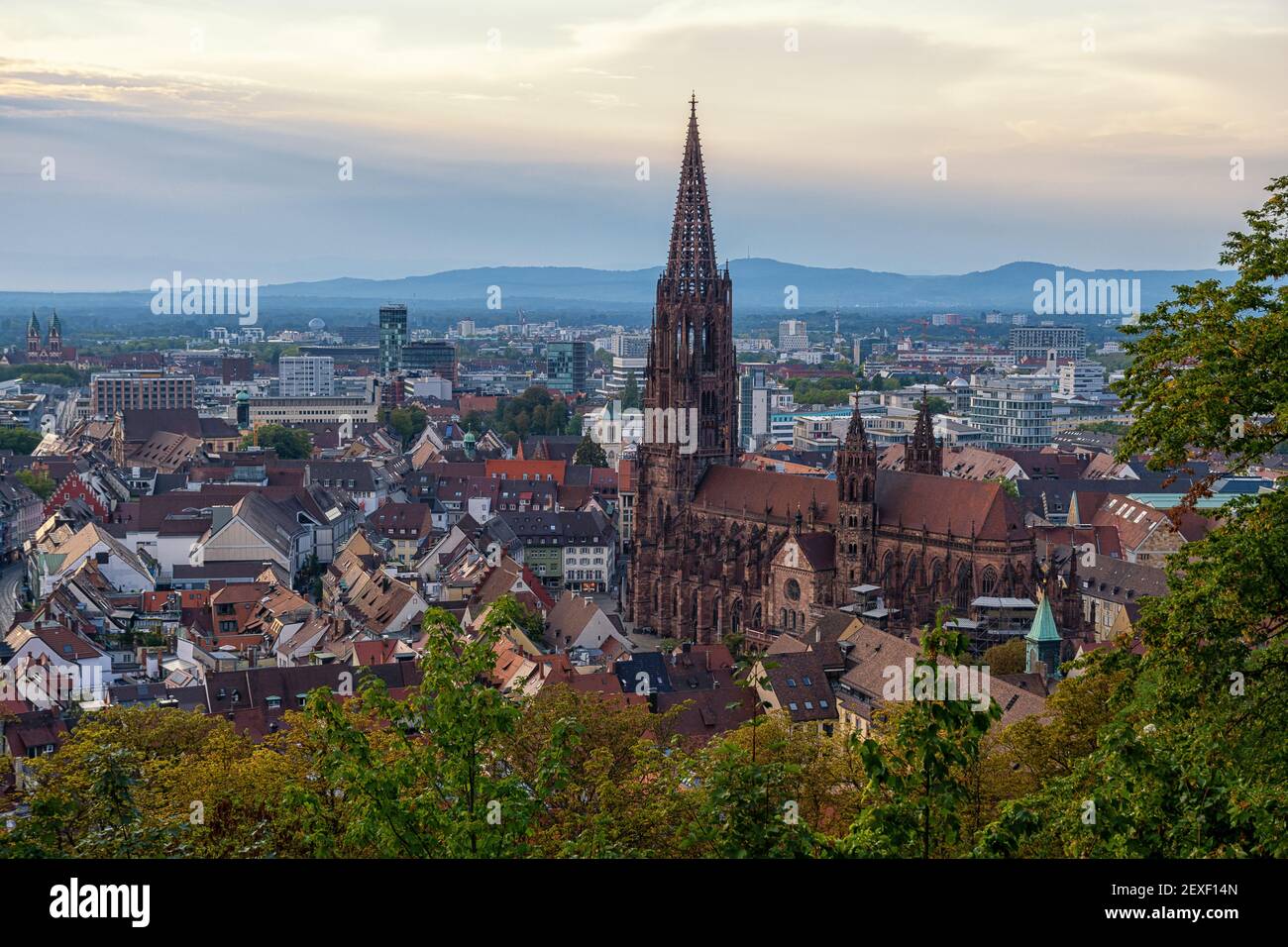 Vista di Freiburg im Breisgau Foto Stock