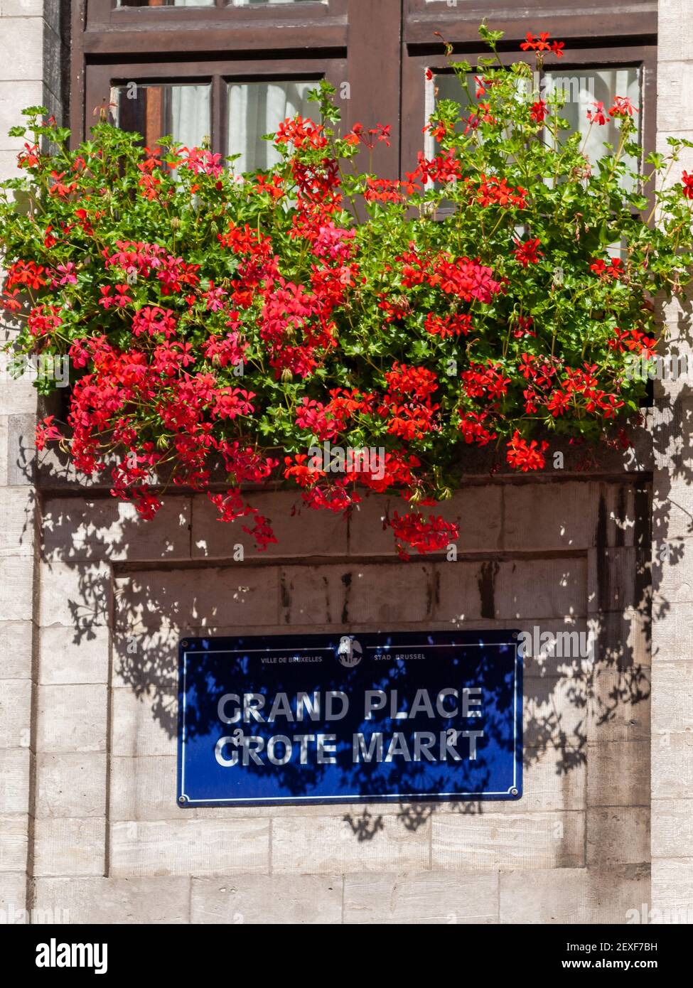 Bruxelles Gand collocare un cartello stradale su una parete sotto fiori rossi Foto Stock