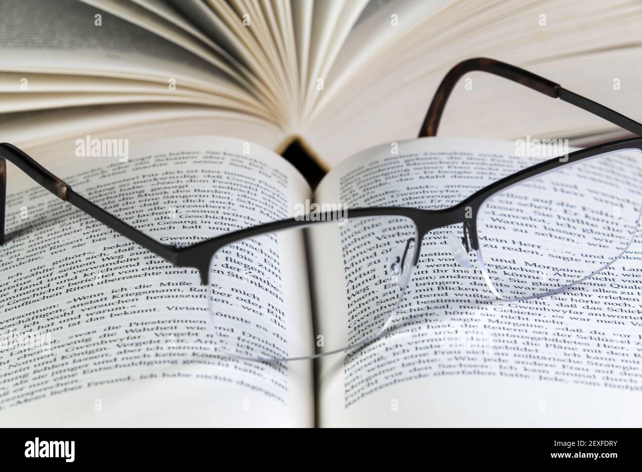 Leggere UN libro reale è un grande piacere Foto Stock