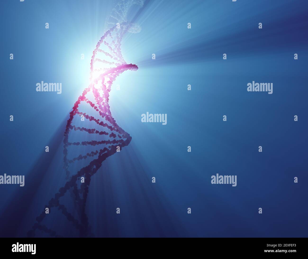 Molecola di DNA con retroilluminazione. Codice genetico, molecole elicoidali. Tracciato di ritaglio incluso. Foto Stock