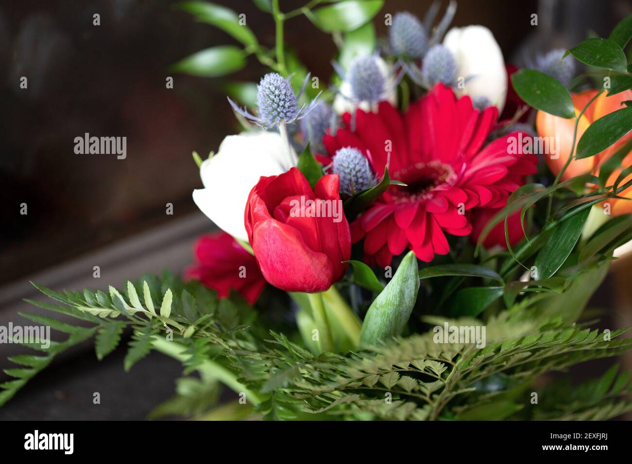 Mazzo di nozze d'inverno - arrangiamento di crisantemo rosso, tulipani d'arancio, tistolo blu e foglie di felce. Foto Stock