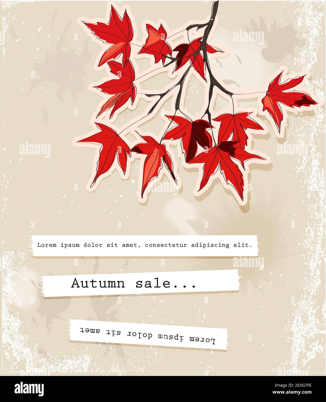 Carta con foglie di autunno Foto Stock