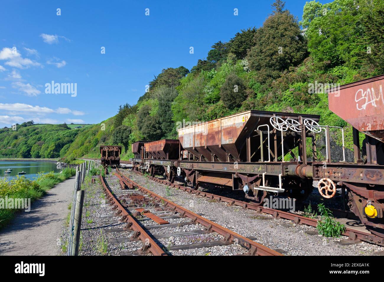 Inghilterra, Devon, Kingswear, manutenzione cingolata Hopper Trucks parcheggiati a Siding Foto Stock