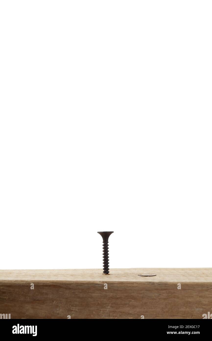 Avvitare su un legno Foto Stock