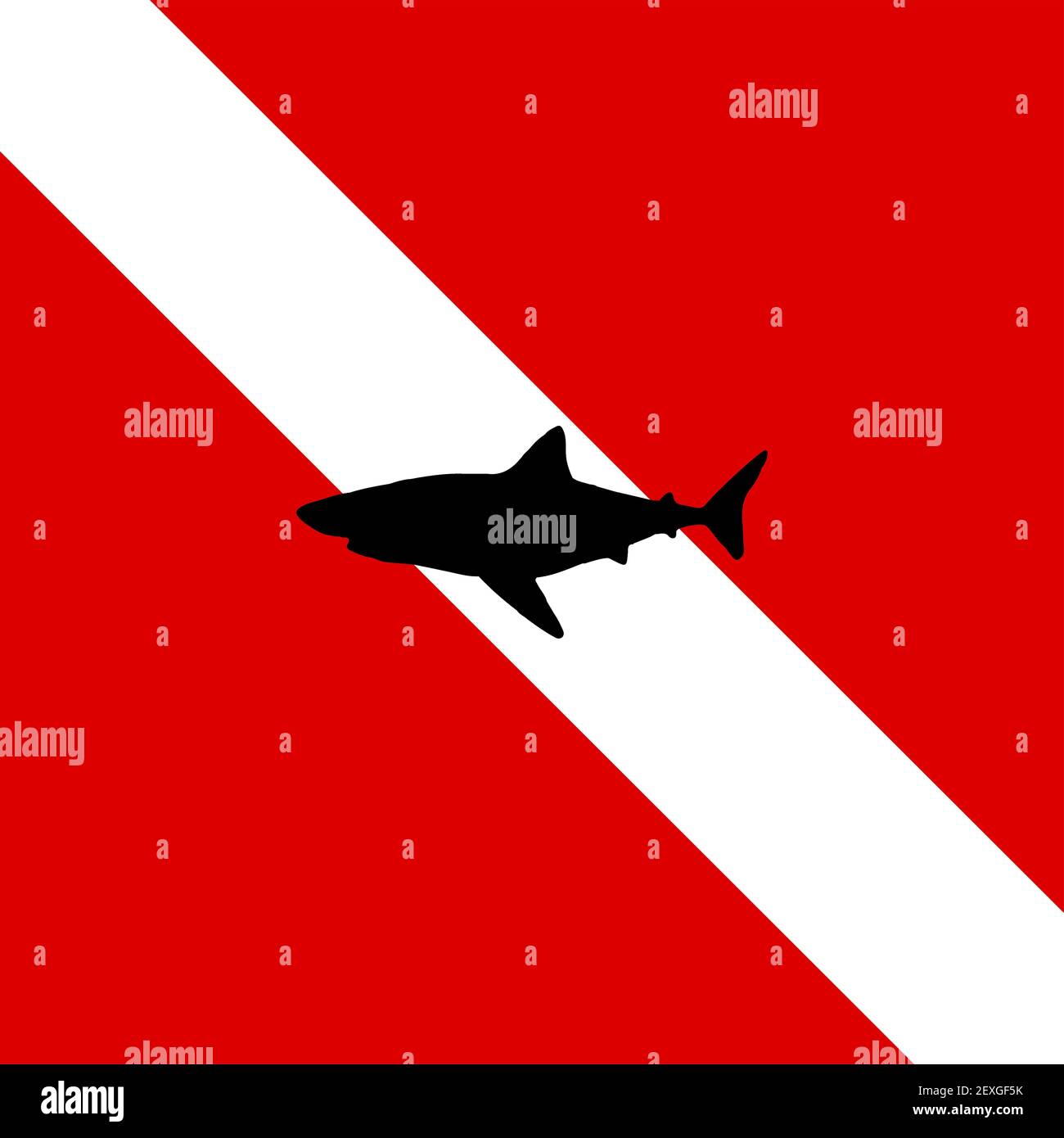 Bandiera e squalo subacqueo Foto Stock
