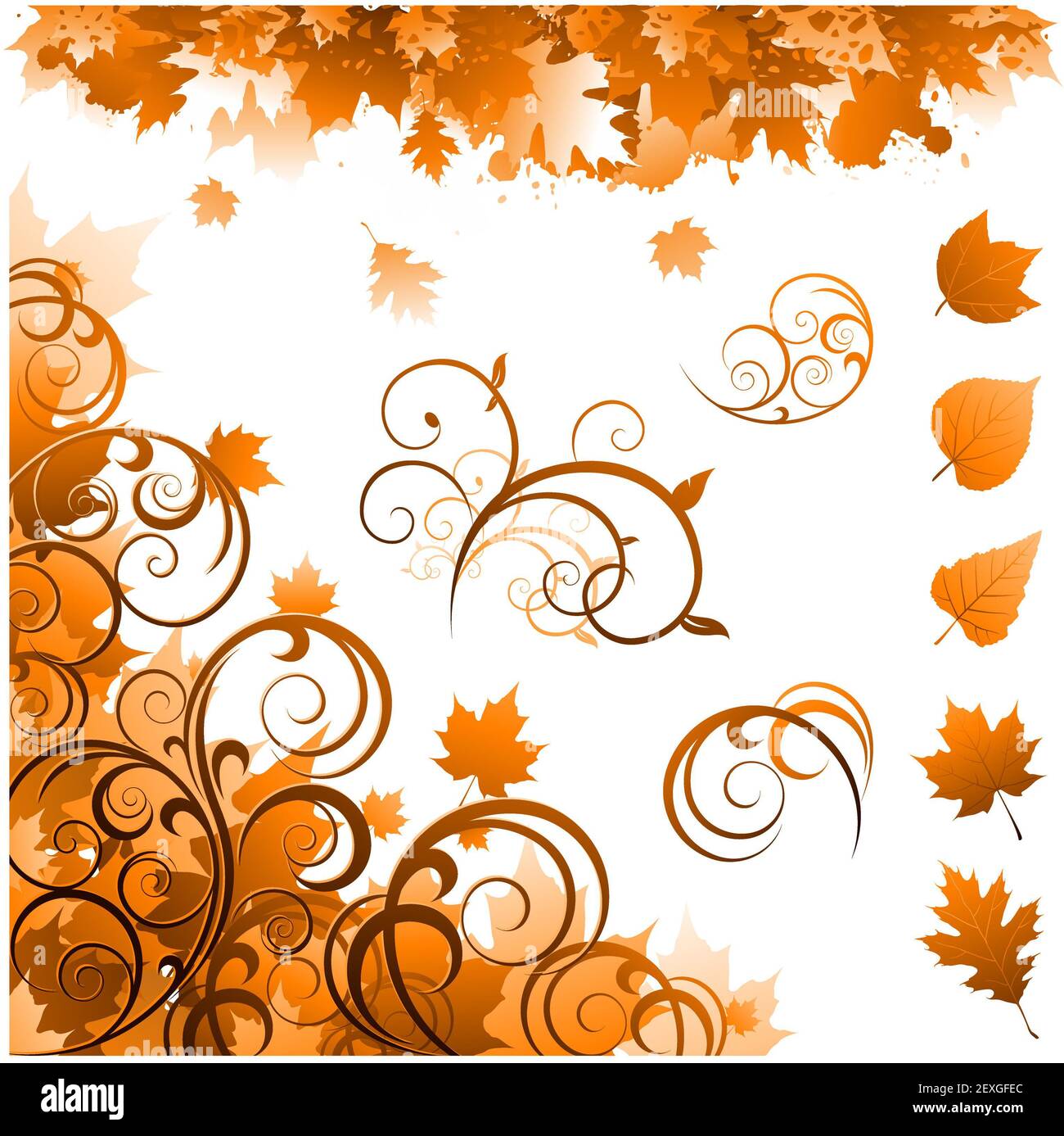 Scorrere forma ornamento floreale Foto Stock