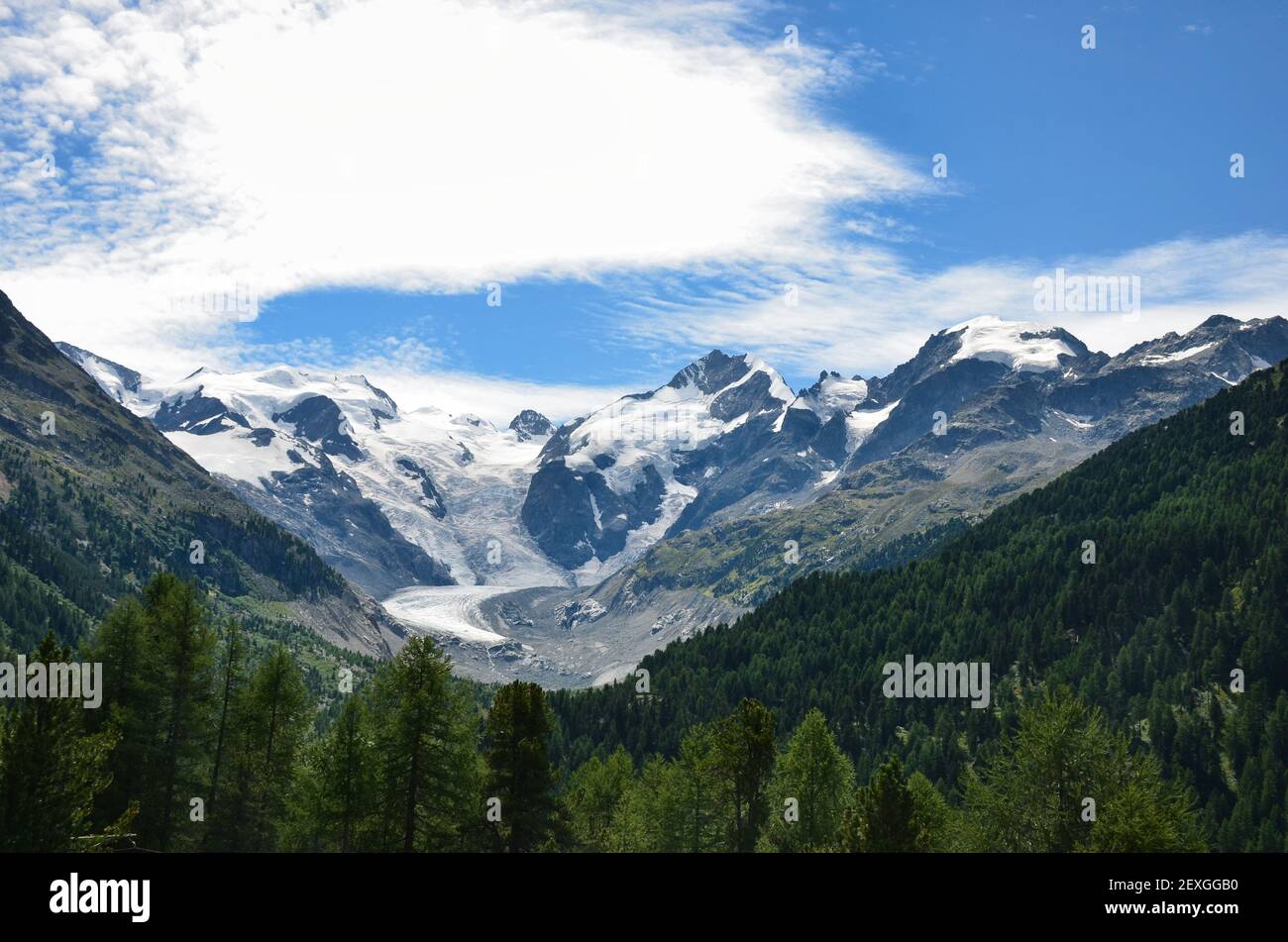 ghiacciaio di morteratsch nel cantone di grigioni engadin con verde foresta in primo piano. Alpi svizzere, cielo blu Foto Stock