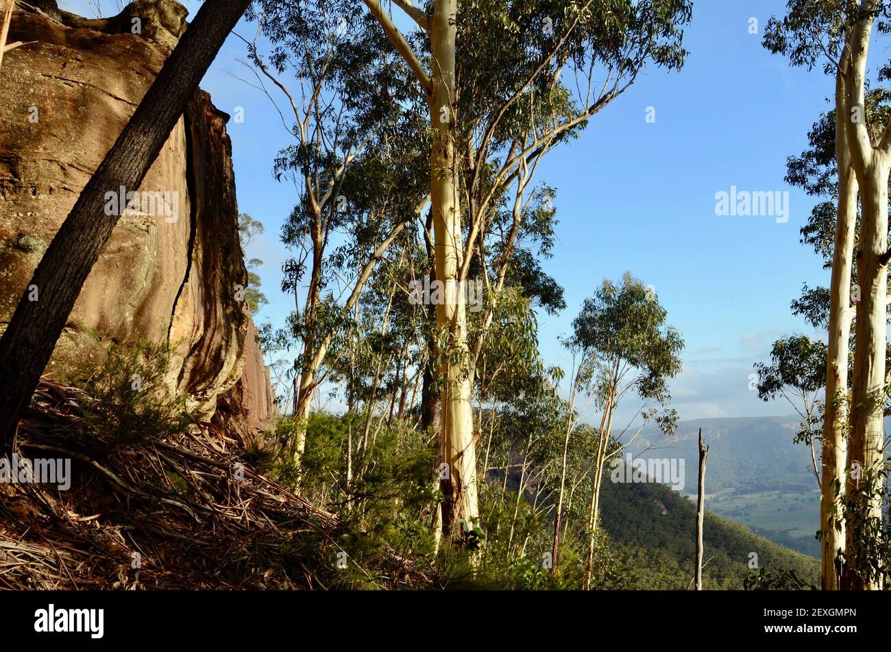 Un paesaggio australiano a Mount Victoria Foto Stock