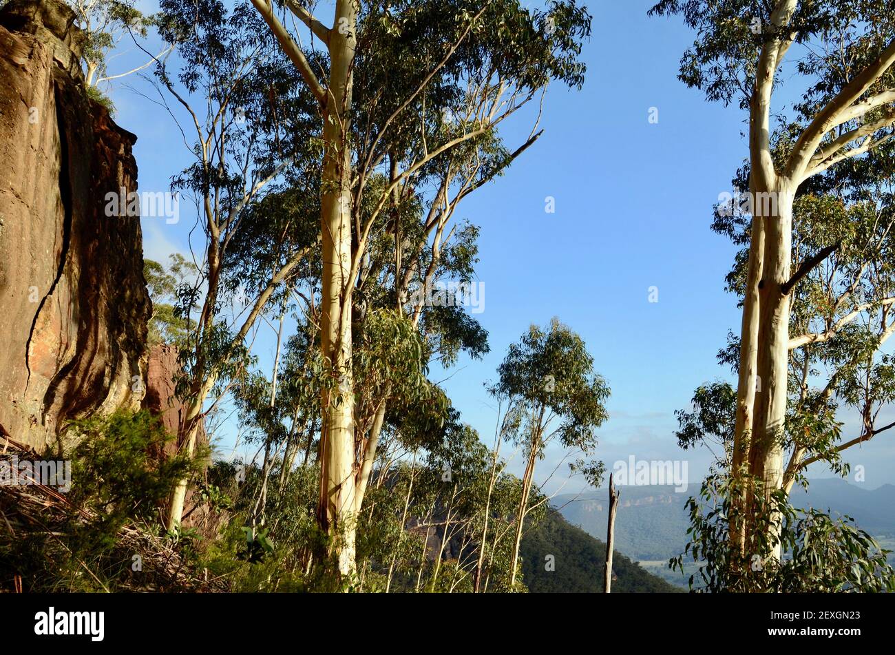 Un paesaggio australiano a Mount Victoria Foto Stock