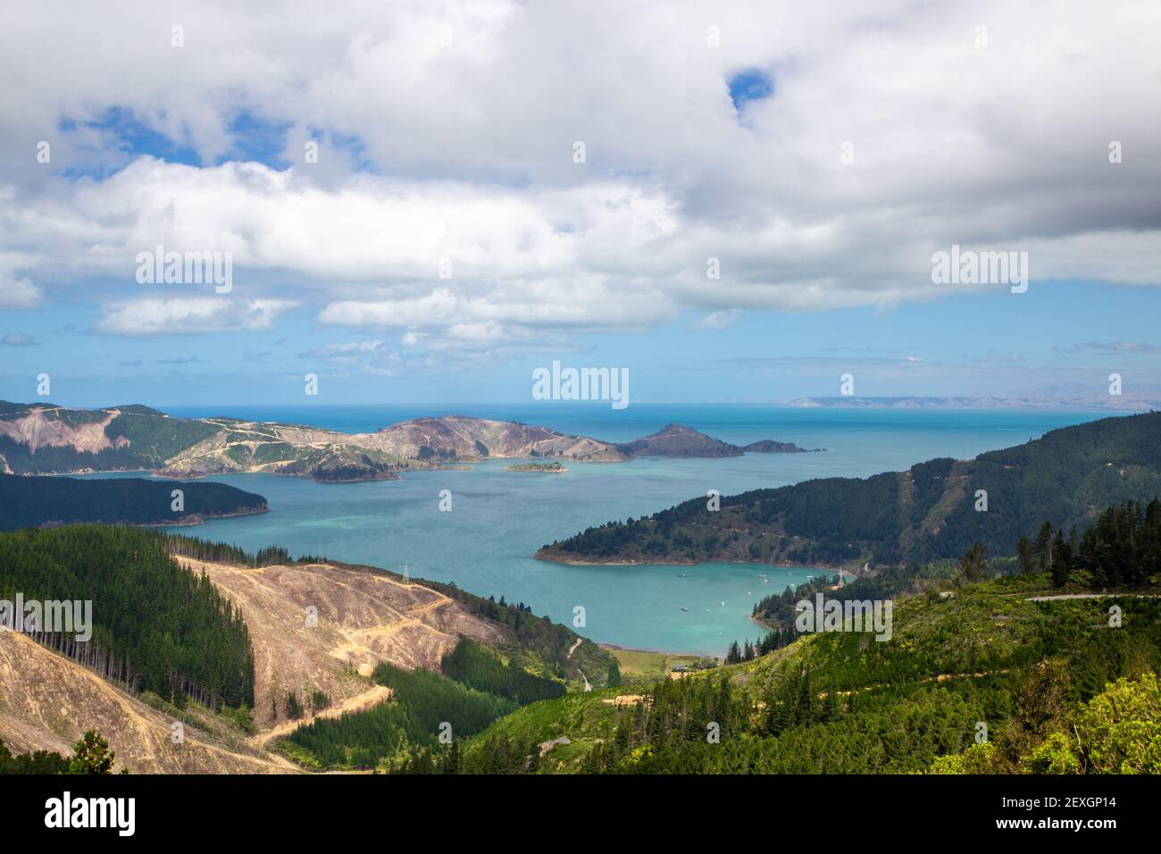 La vista che guarda giù su Port Underwood dalla strada ventosa a Picton, Marlborough Sounds, Nuova Zelanda Foto Stock