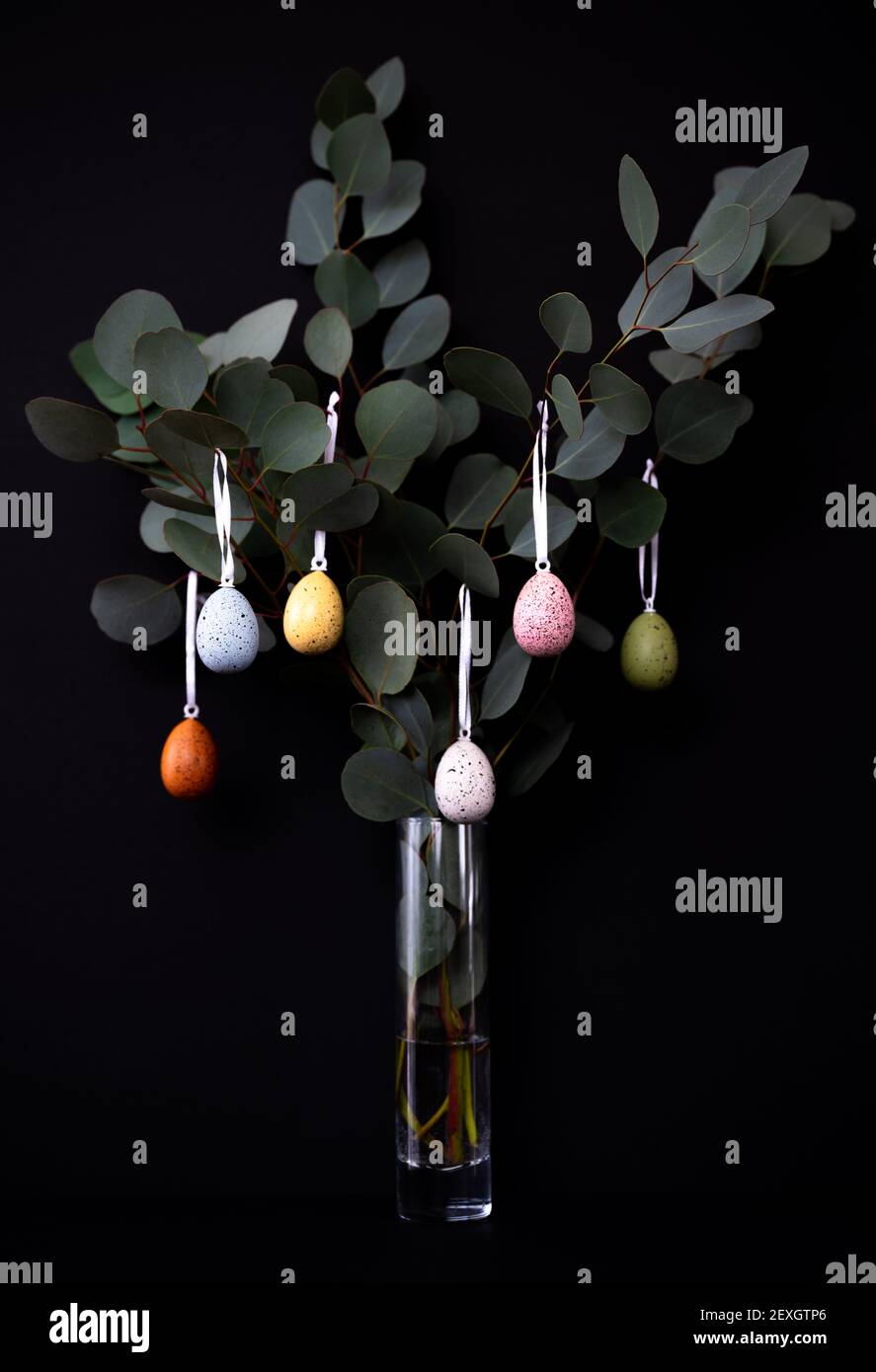 Rami di eucalipto decorati con uova colorate in vaso su nero Foto Stock