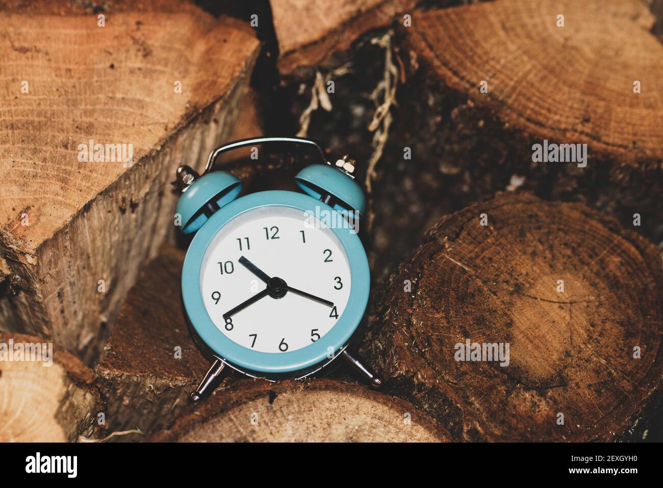 Un orologio blu tra legno Foto Stock