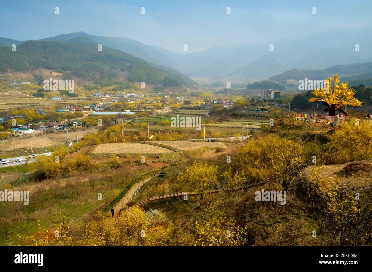 Paesaggio della contea di Gurye (Corea del Sud) durante il festival dei fiori di Sansuyu Foto Stock