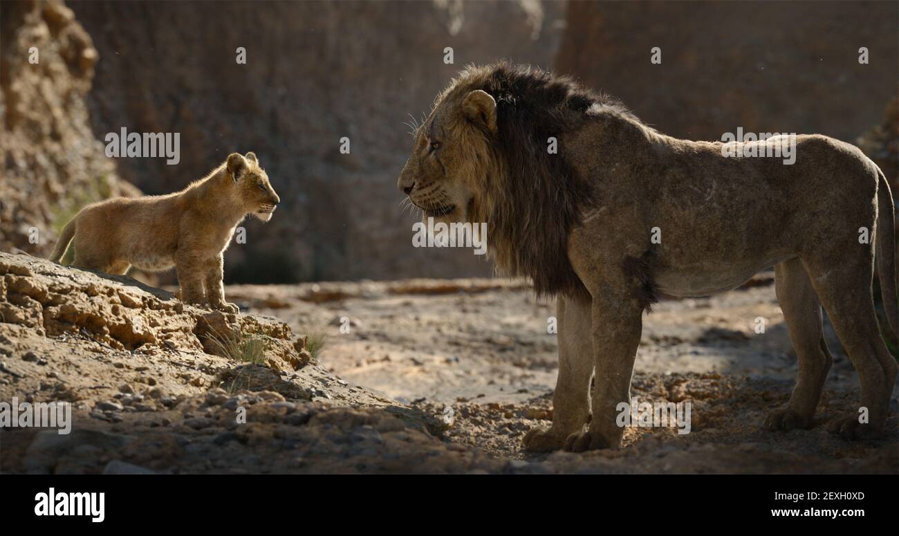 IL RE LEONE - con le voci di JD McCrary e Chiswetel Ejiofor come Scar, il Re Leone di Disney è diretto da Jon Favreau Foto Stock