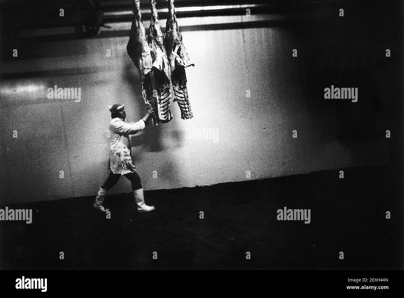 Carcasse di carne appese su ganci di carne alla United Meat Company In Ballaghderreen.dbase Foto Stock
