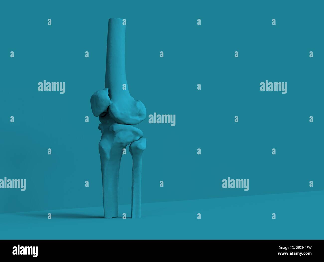 Modello di ossa umane, ginocchio, rendering 3D Foto Stock