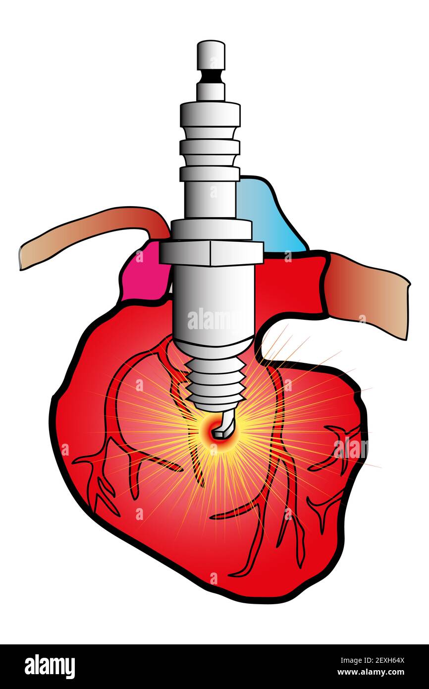 Sistema cardiaco Foto Stock