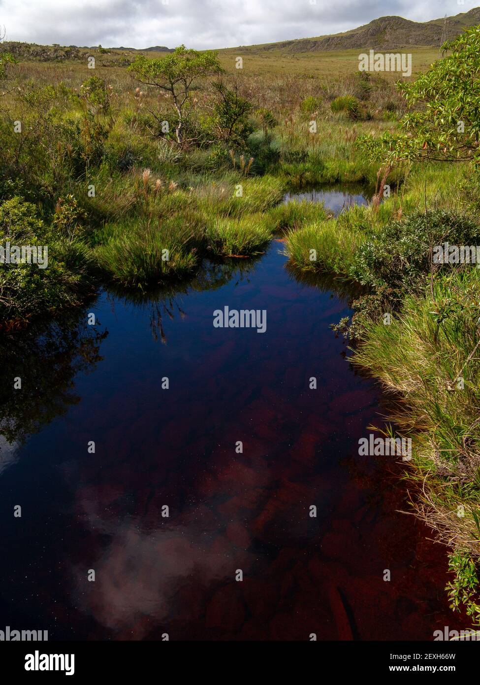 La sorgente del fiume São Francisco al Parco Nazionale Serra da Canastra, Minas Gerais, Brasile Foto Stock