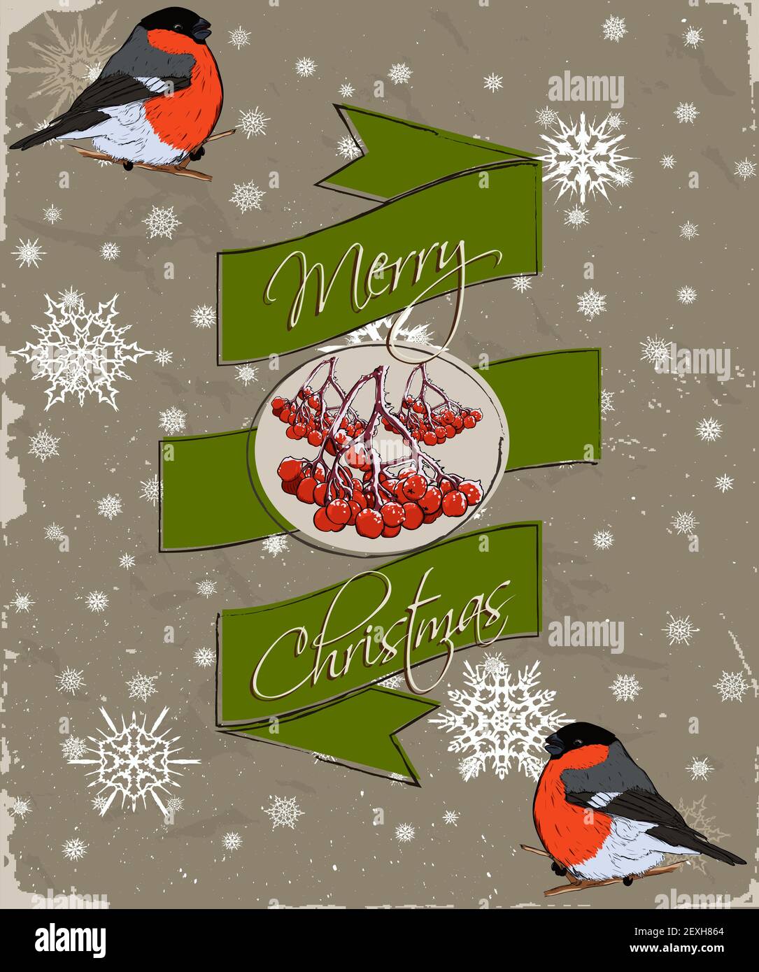 Scheda di Natale con bullfinch. Foto Stock