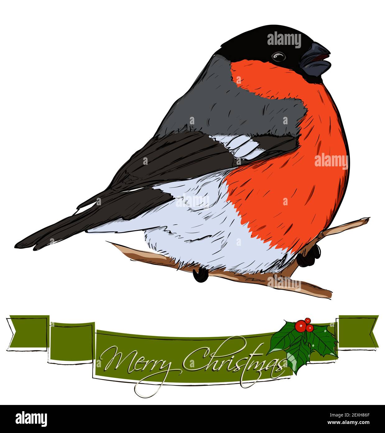 Scheda di Natale con bullfinch. Foto Stock