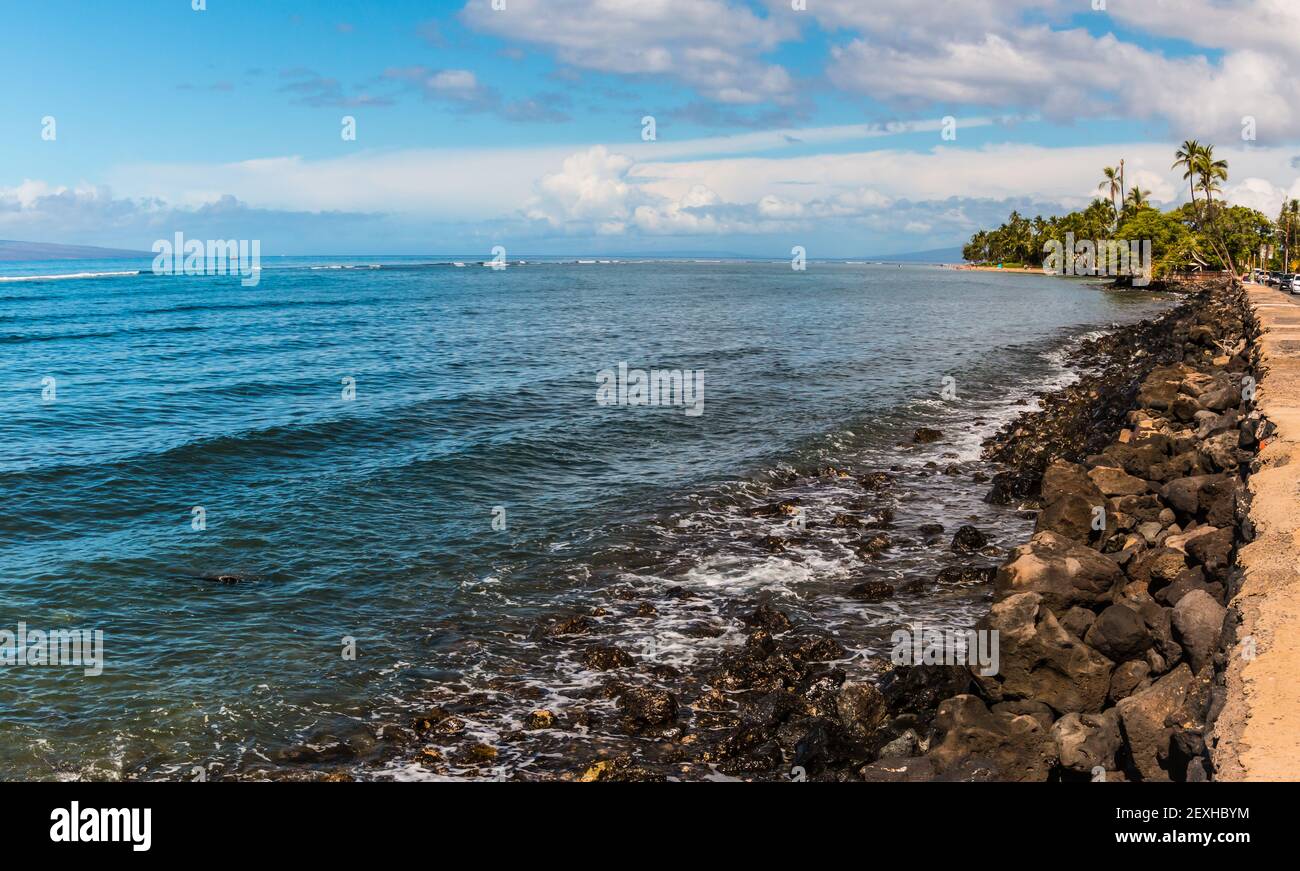 Le acque calde e limpide della Baia di Lahaina lungo il Seawall, Lahaina, Maui, Hawaii, USA Foto Stock