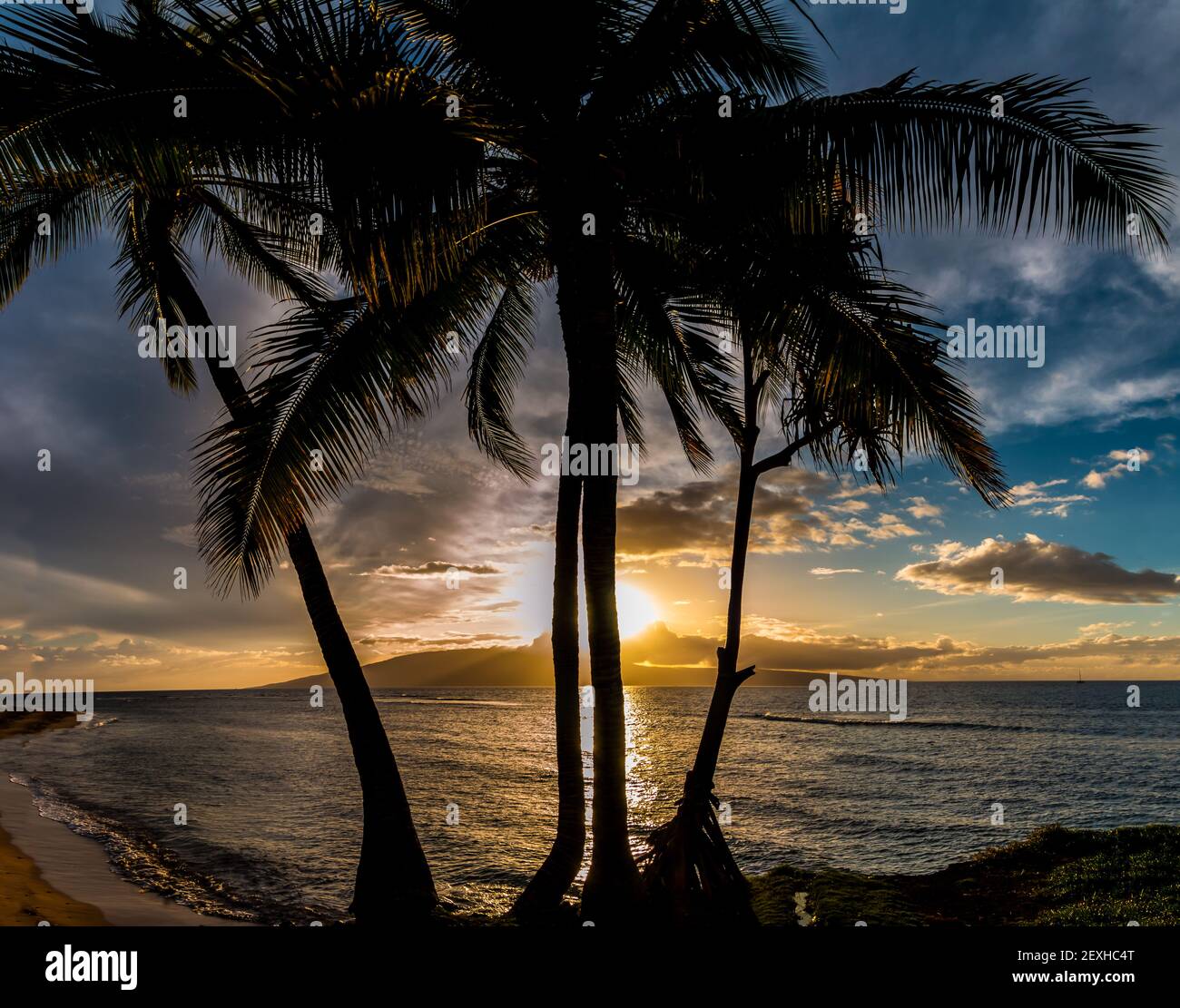 Tramonto su Lanai con Palm Tree Silhouette, attraverso Lahaina Bay, Maui, Hawaii, USA Foto Stock