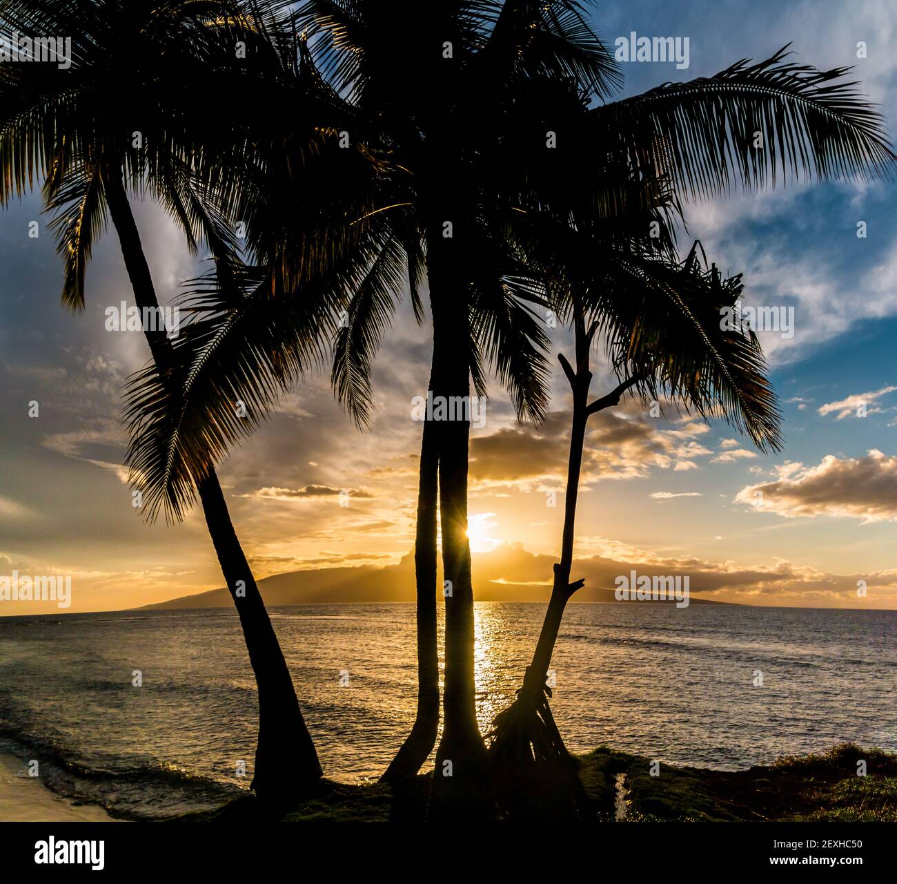 Tramonto su Lanai con Palm Tree Silhouette, attraverso Lahaina Bay, Maui, Hawaii, USA Foto Stock
