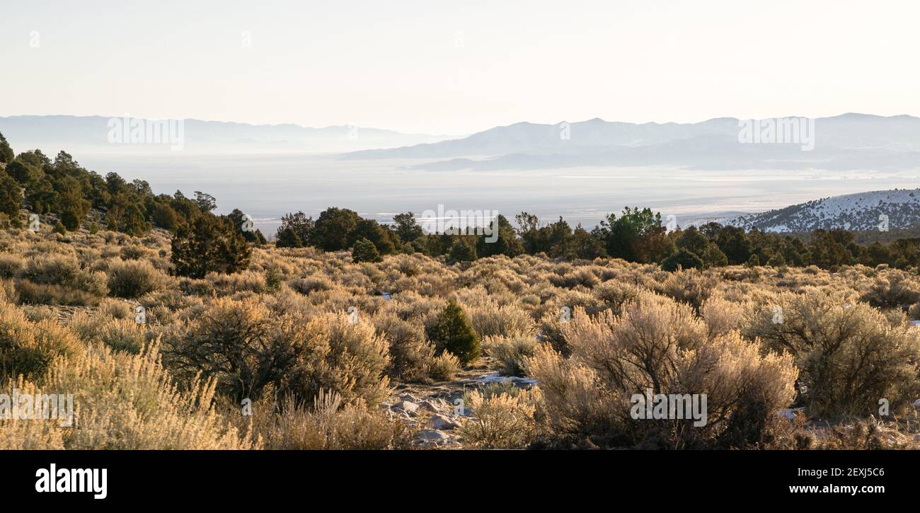 Guardando giù per la montagna nel deserto del Great Basin Nevada a sud-ovest Foto Stock