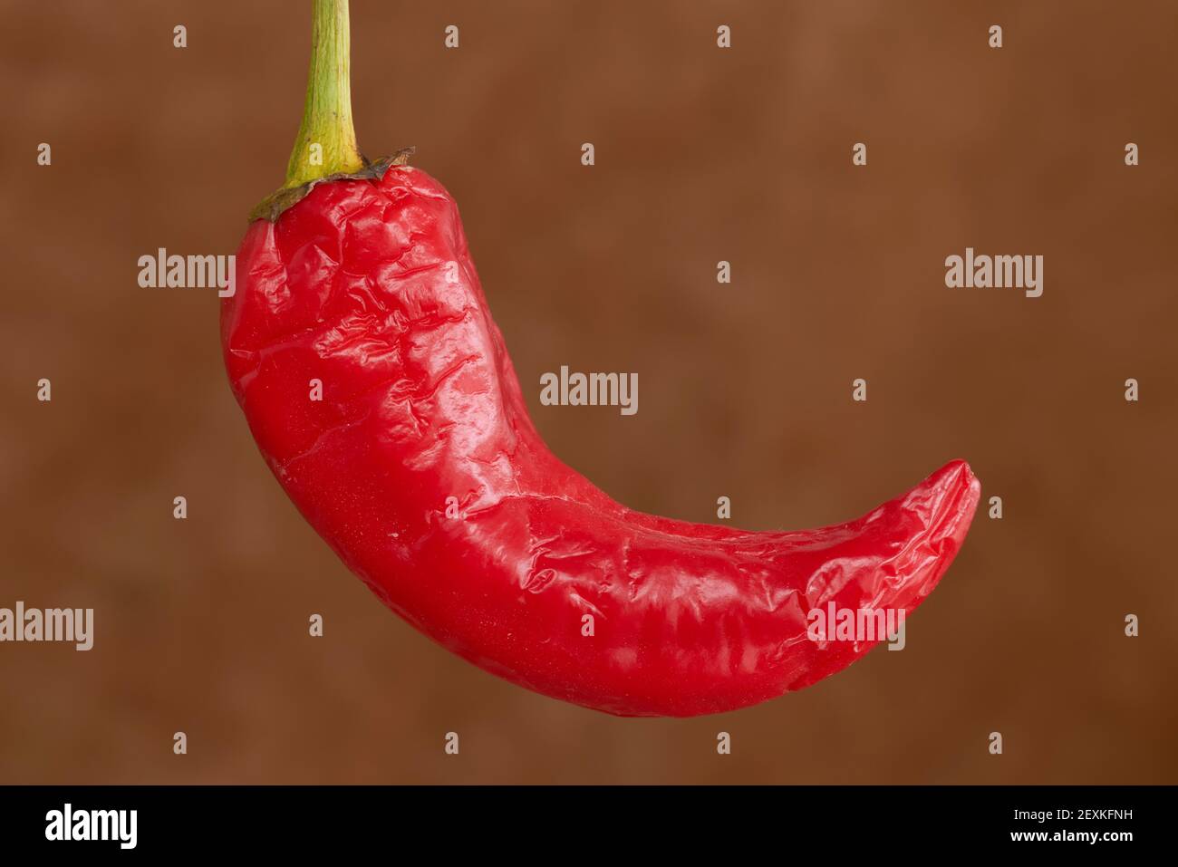 pepe rosso destinato all'asciugatura per l'uso in cucina. Andalusia, Spagna Foto Stock