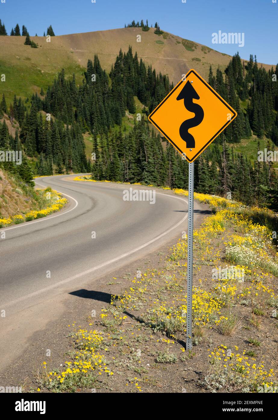 Il segnale stradale indica le curve che precedono il paesaggio montano Foto Stock