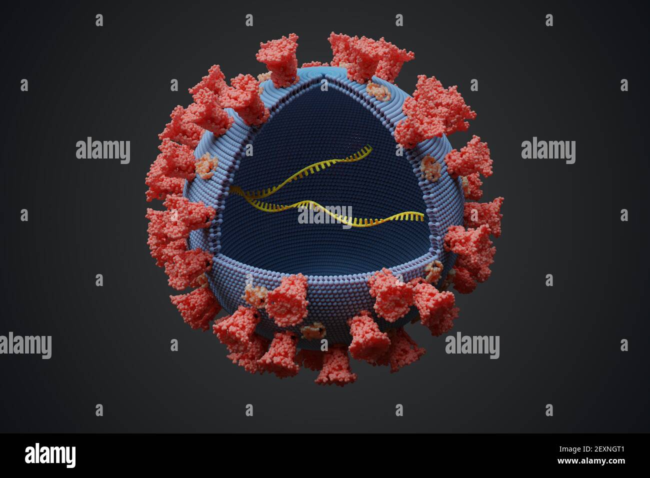 Virus con molecola di RNA all'interno. Concetto di infezione. Illustrazione con rendering 3D. Foto Stock