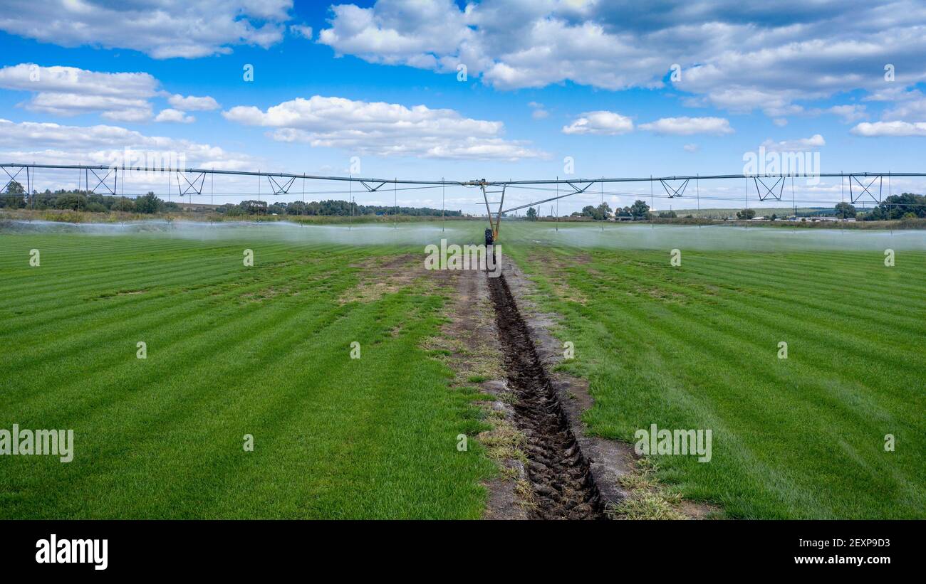 Sistema automatico di irrigazione del campo, irriga i raccolti giovani. Foto Stock