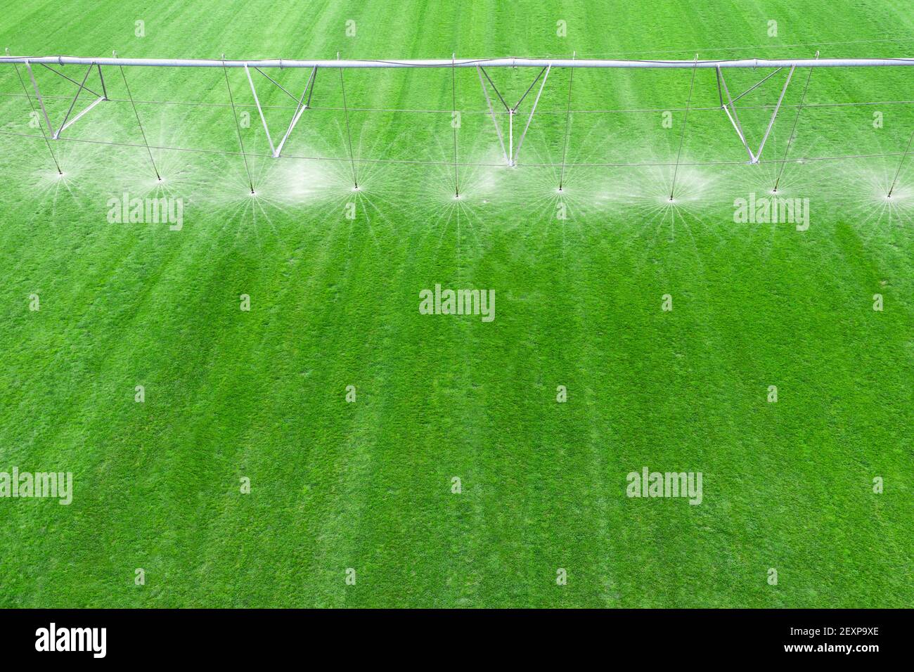 Sistema automatico di irrigazione del campo, irriga i raccolti giovani. Foto Stock