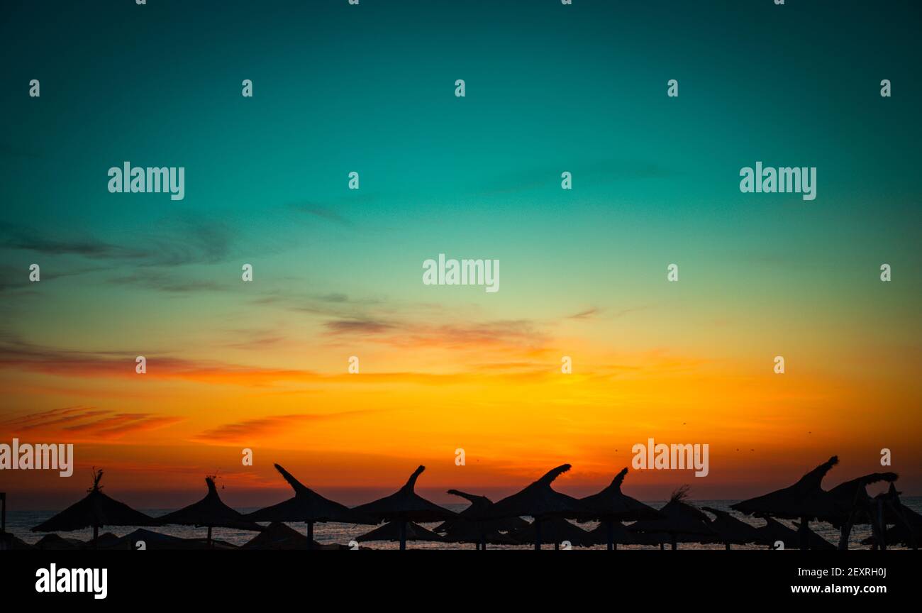 Ombrelloni da spiaggia silhouette sul mare prima dell'alba. Foto Stock