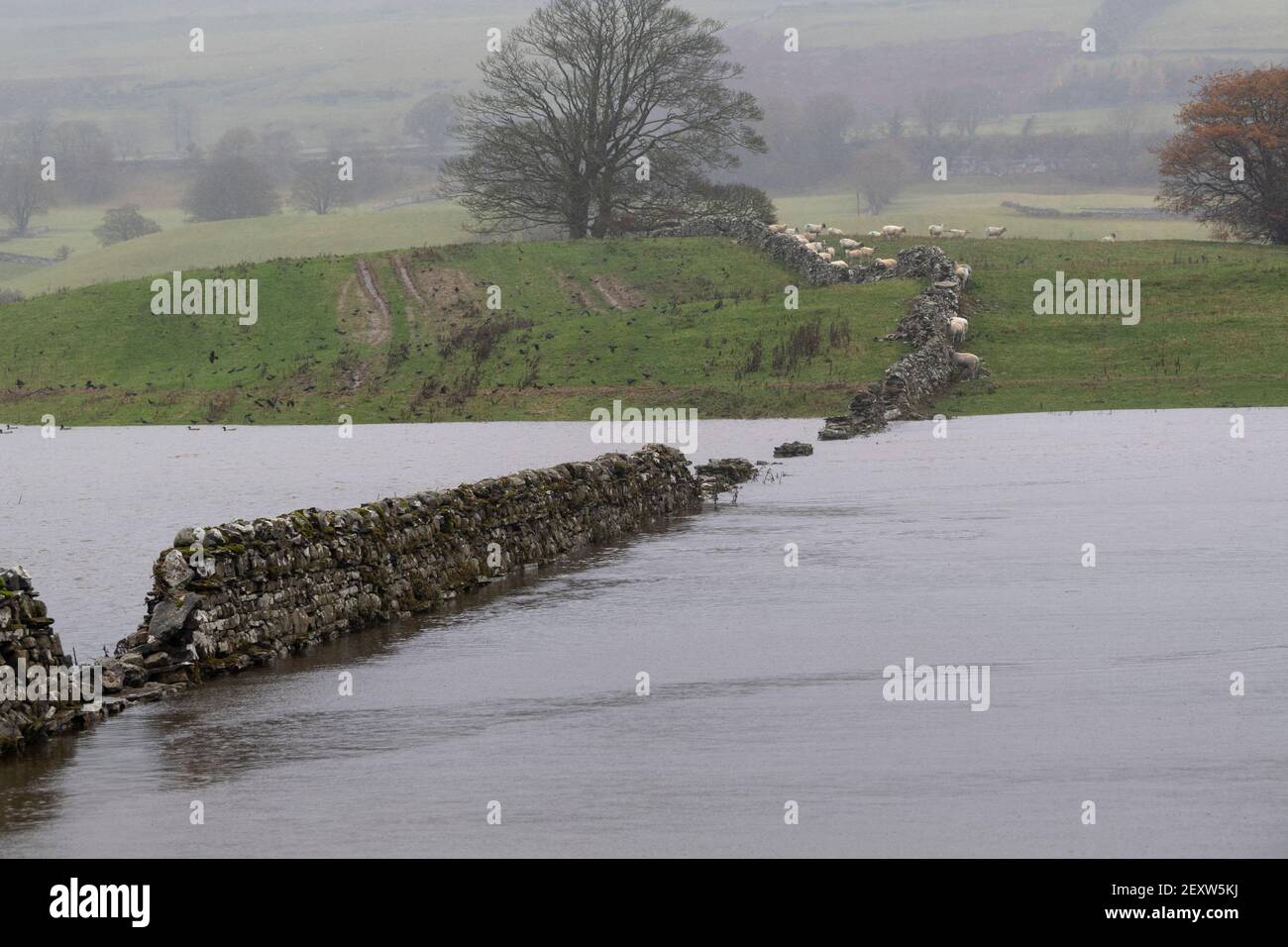 Danni da tempesta intorno alla città di Wensleydale di Hawes nel North Yorkshire dopo Storm Aiden. Foto Stock