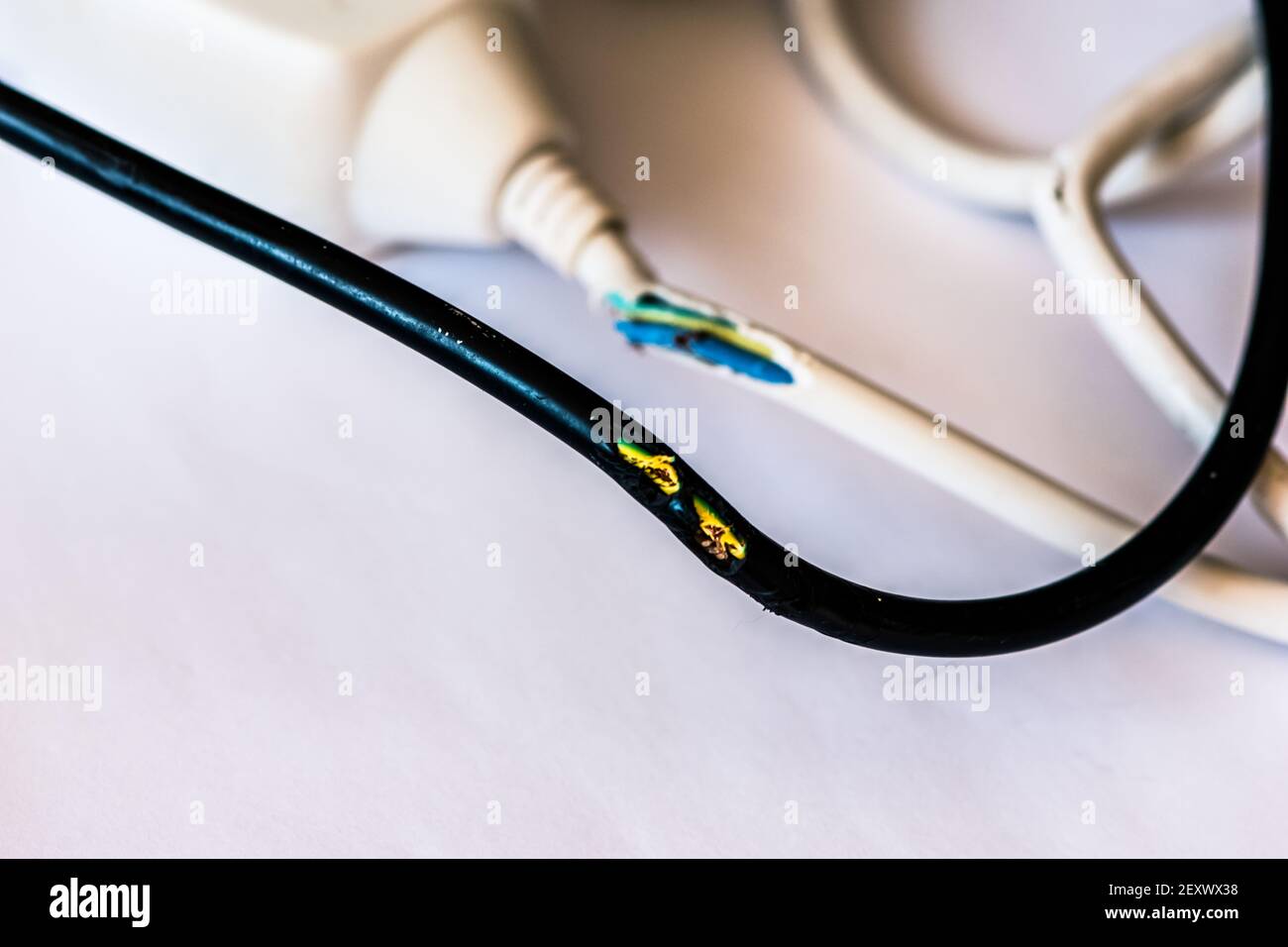 cavo danneggiato da masticazione di coniglio Foto Stock