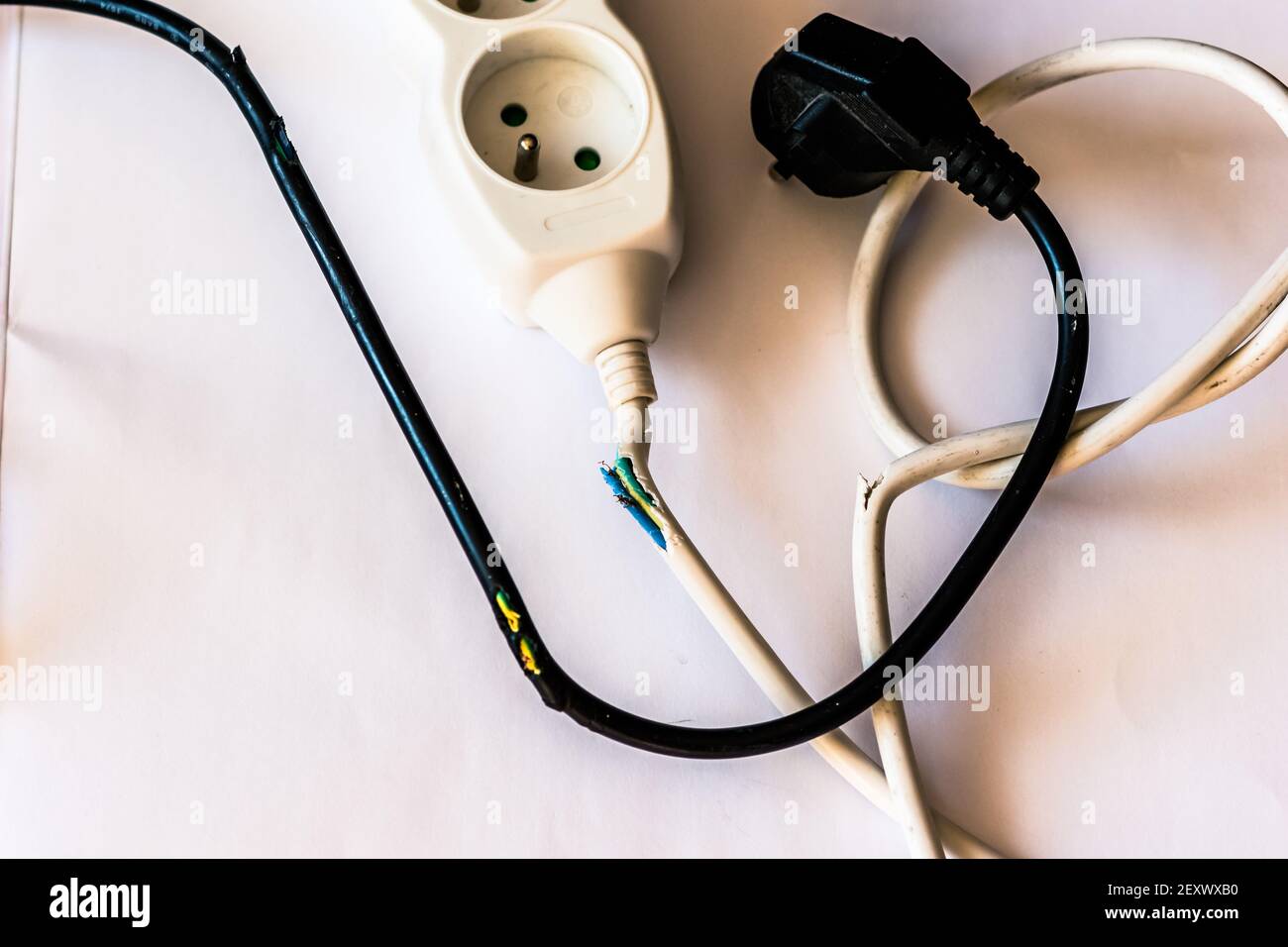 cavo danneggiato da masticazione di coniglio Foto Stock