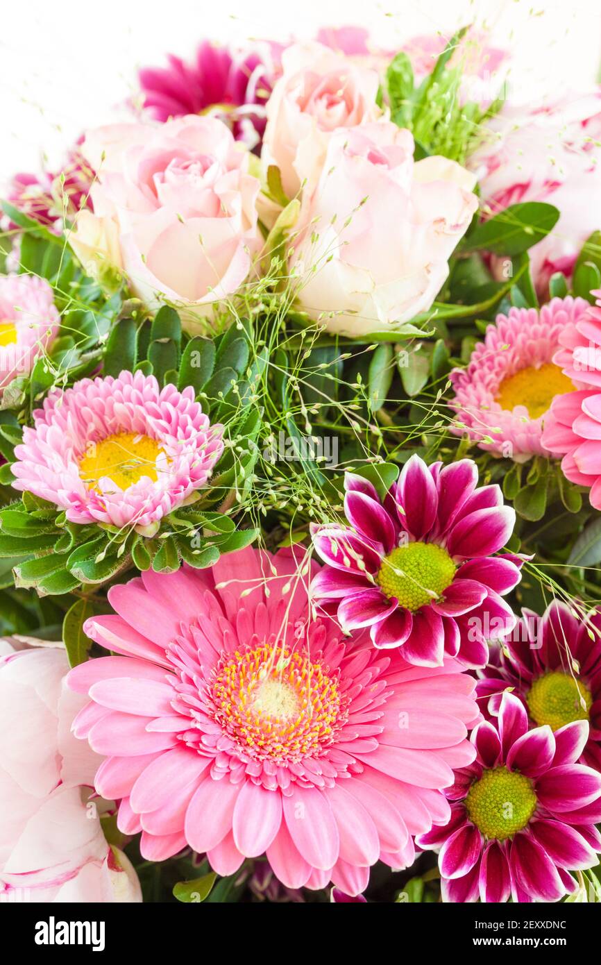 Coloratissimi fiori estivi Foto Stock