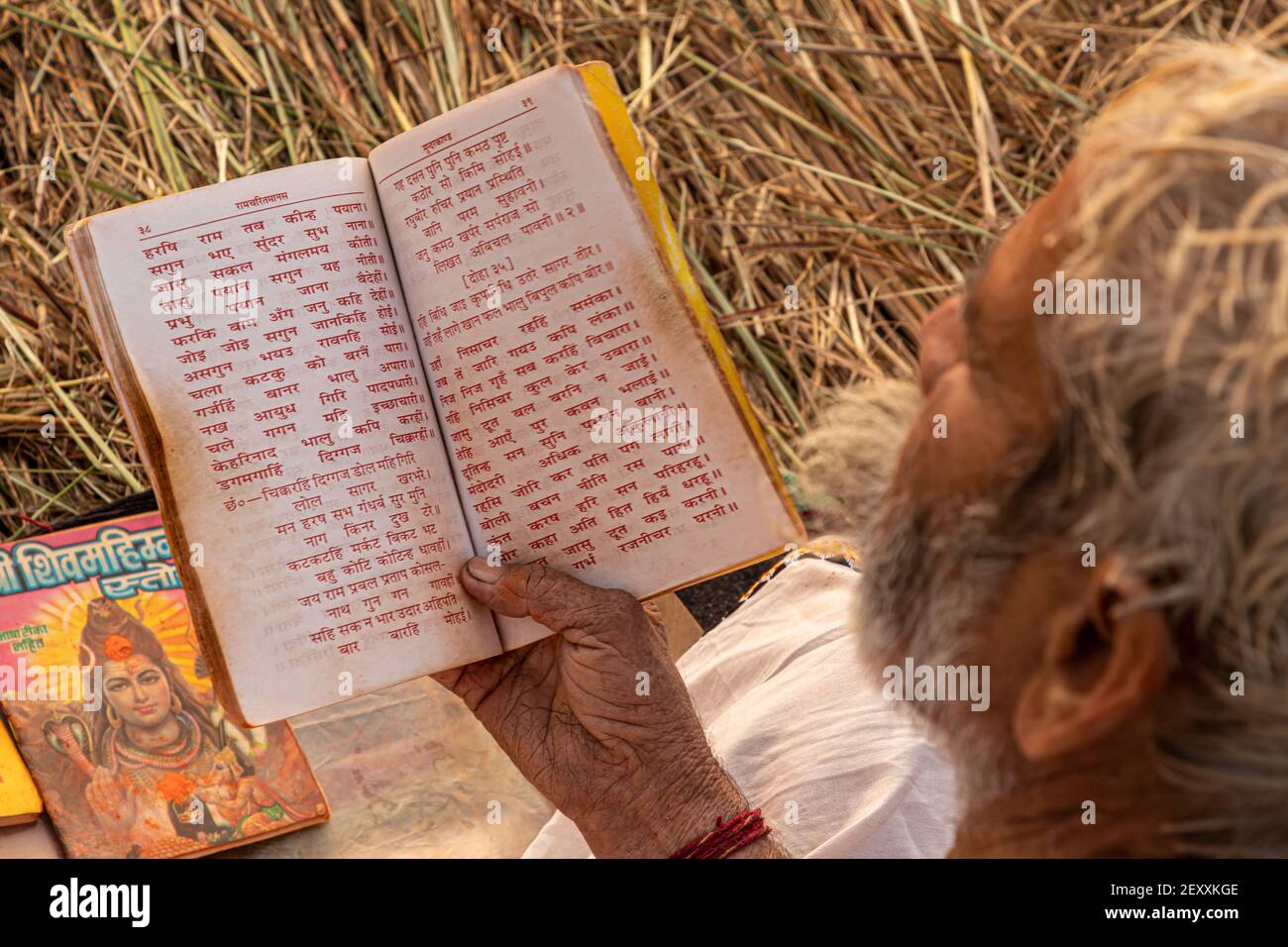 un mont che legge il libro sacro durante la mela kumbh in haridawar.kumbh è la più grande congregazione sulla terra. Foto Stock