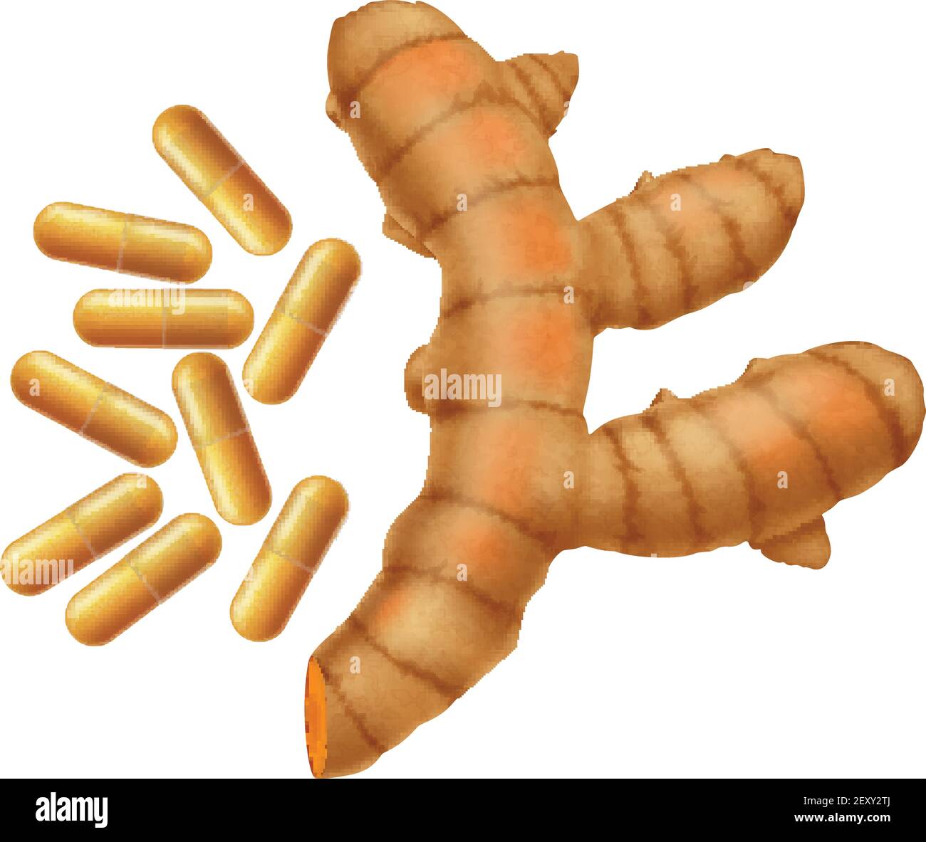 Radice curcuma o curcuma longa e capsule isolate su fondo bianco. Illustrazione vettoriale. Illustrazione Vettoriale