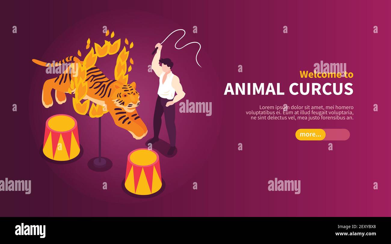 Gli artisti isometrici del circo mostrano banner orizzontali con immagini di selvaggina manomissione animale e tigre con illustrazione vettoriale di testo Illustrazione Vettoriale